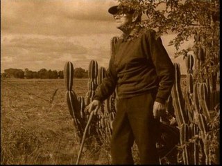 Spiderbait - Old Man Sam