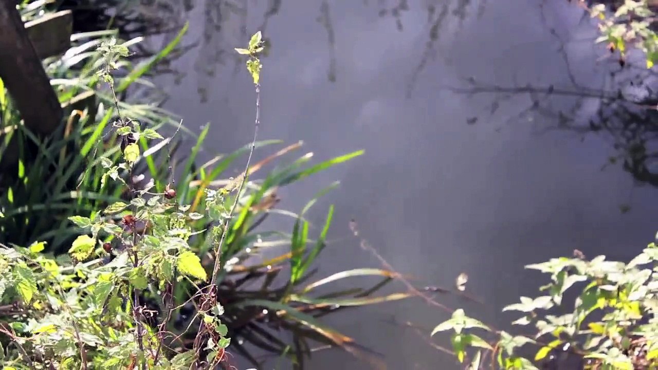 Timelapse : Zeitraffer - Kreis Pinneberg Hetlinger Schanze Oktober 2013 /Full Film/Complete Movie/Ganzer Film