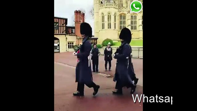 من شابه اباه ماظلم