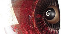 BIRDS VS AIRCRAFT | VIDEO COLLECTION | CRASH #1