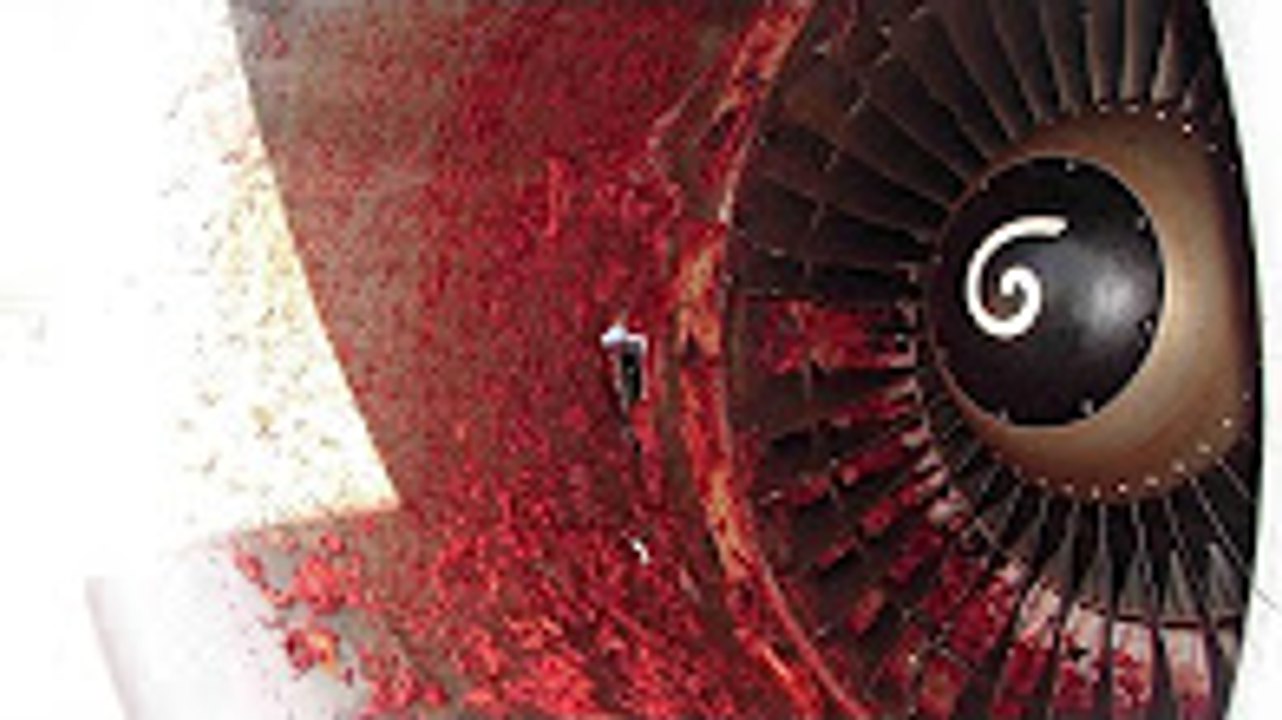 BIRDS VS AIRCRAFT | VIDEO COLLECTION | CRASH #1