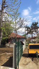 Düzce Sondaj Çalışması