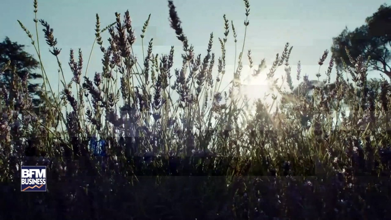 Angelina Jolie, égérie du nouveau parfum "Mon Guerlain"