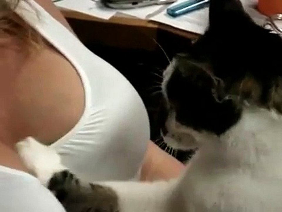Un chat un peu pervers joue avec le débardeur de sa maîtresse !