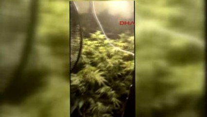 Trabzon'da Uyuşturucu Için Özel Odaya Özel Düzenleme