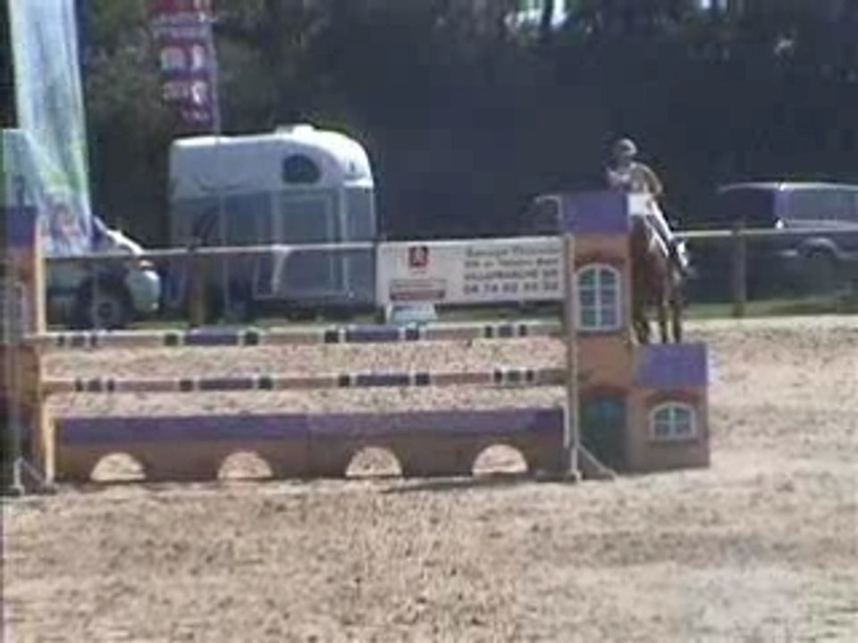 Havanne arnas sauvageonne gp 115