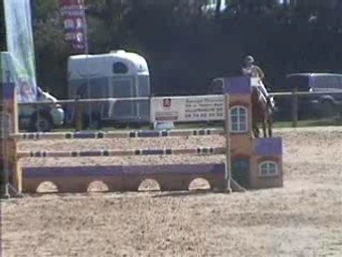 Havanne arnas sauvageonne gp 115