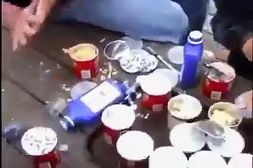 Alimentando as Gaivotas.