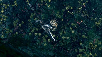 [Dark Souls] Cinématique alternative Sif le loup