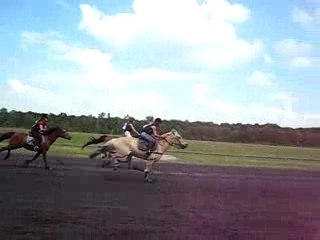 Mon loulou aux courses