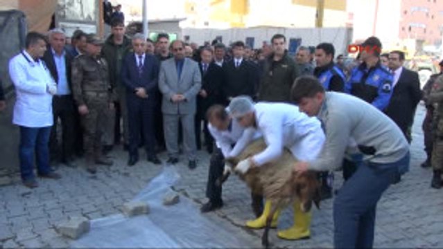 Hakkari Polisler Hakkari Esnafına Karanfil Dağıttı