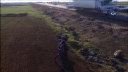 Terör, Uyuşturucu ve Kaçakçılığa Mart Darbesi