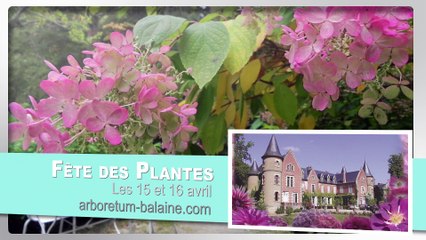 L'Agenda de la région - 10 AVRIL 2017