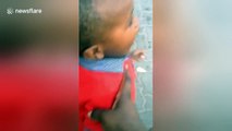 Little boy has hilariously cute reaction to seeing a plane