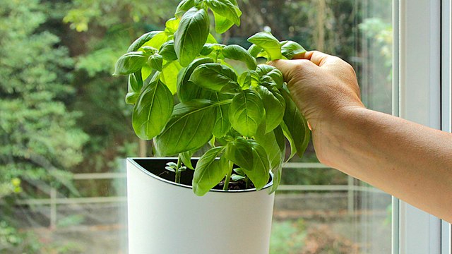 Get Growing: 3 Cool New Gardening Gadgets