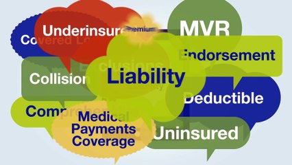 Collision Car Insurance Versus Comprehensive - What's the Difference-