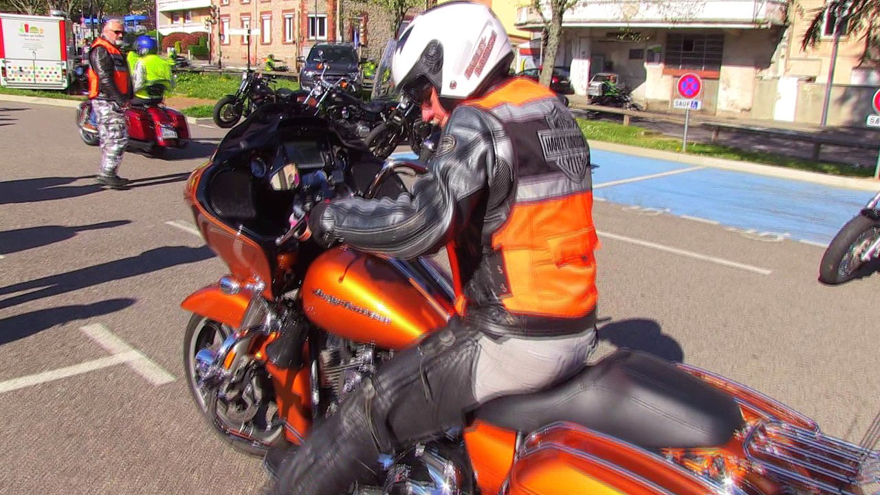 FAN DE HARLEY - FAN DE HARLEY