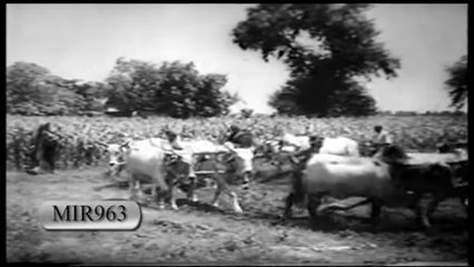 aya waten hum hain teri shama k parwanay|best very old mili naghma|