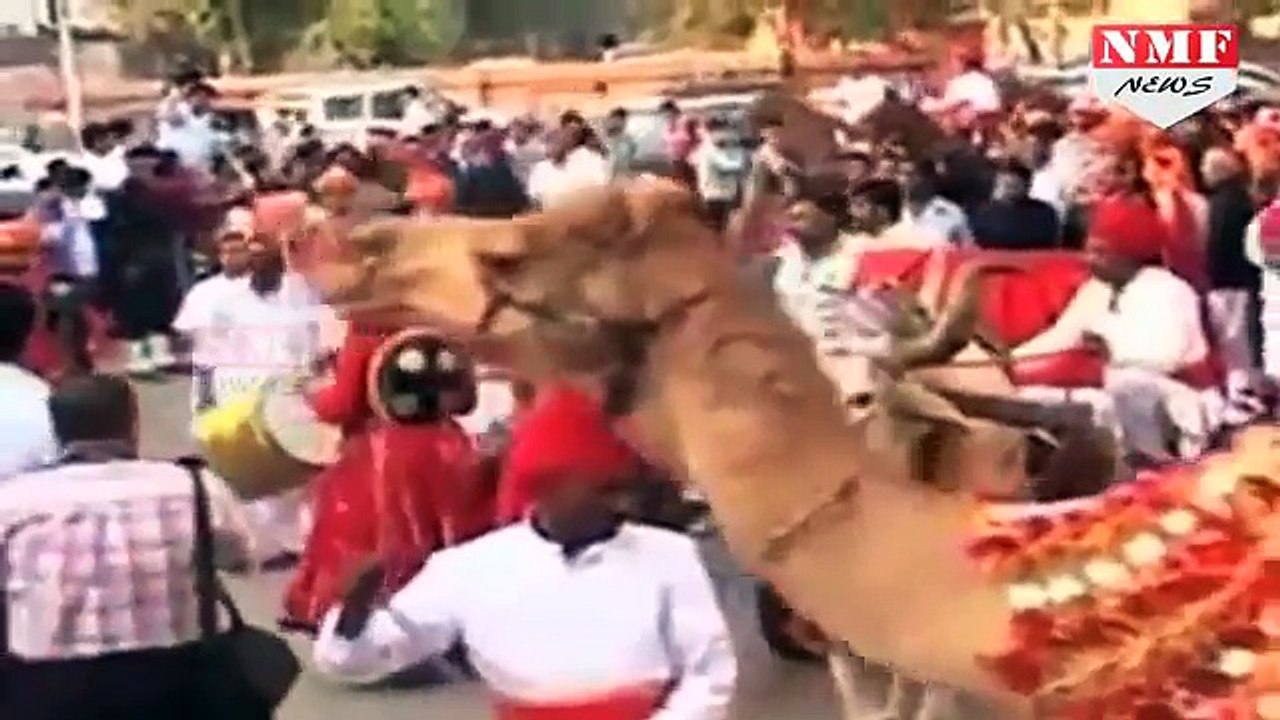 Pakistan की इस Hindu Family से डरते हैं Pakistani, Muslim खुद करते हैं इनकी हिफाजत (1)