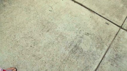 Handy Uses For Milk Jugs Of All Sizes