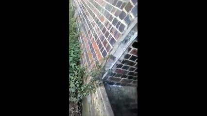 Plymouth teenager rescues man on brink of death