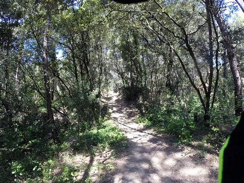 Sur les traces de la Rando du LEZ 5