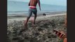 Un homme essaye de frapper un chien à la plage, et va le regretter