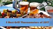 5 Best Grill Thermometers of 2017 | Best Grill Thermometers - Video Review