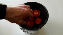 TOMATEN selber ziehen – LIFEHACK - Tomatenscheiben einpflanzen  Tomaten Pflanzen Tipps & Tricks