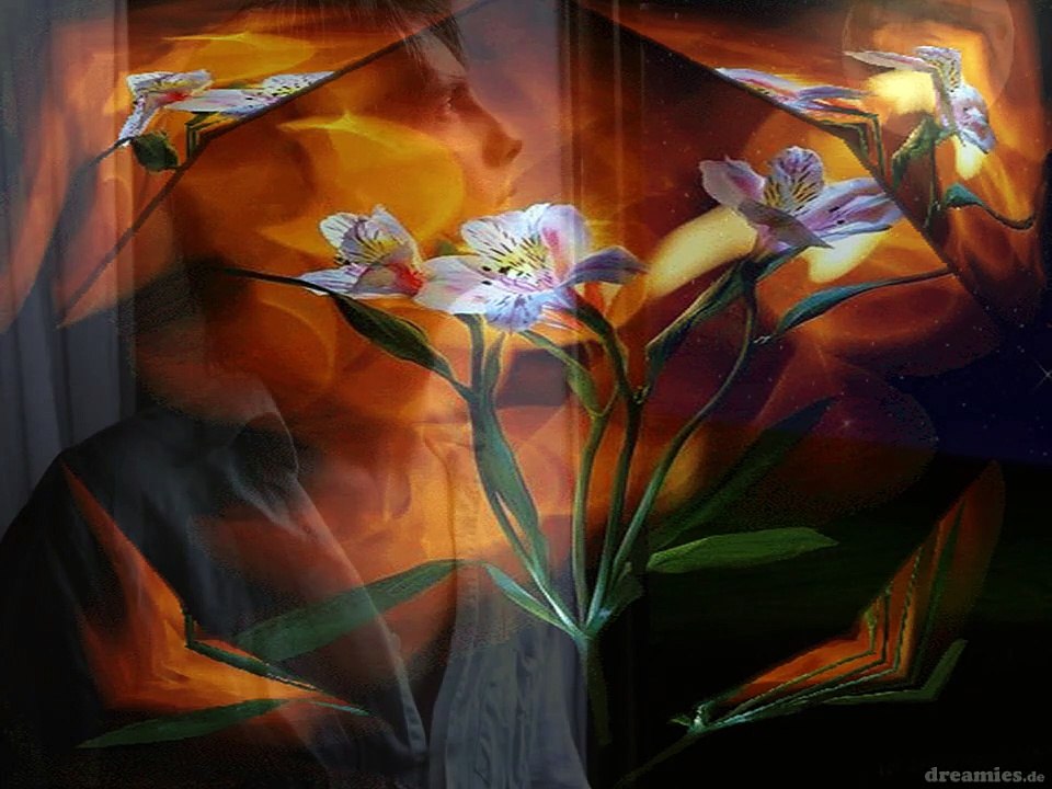 Super Song nun etwas in sich gehen