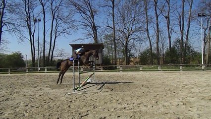 Kari - Obstacle - 9 avril 2017 - 1