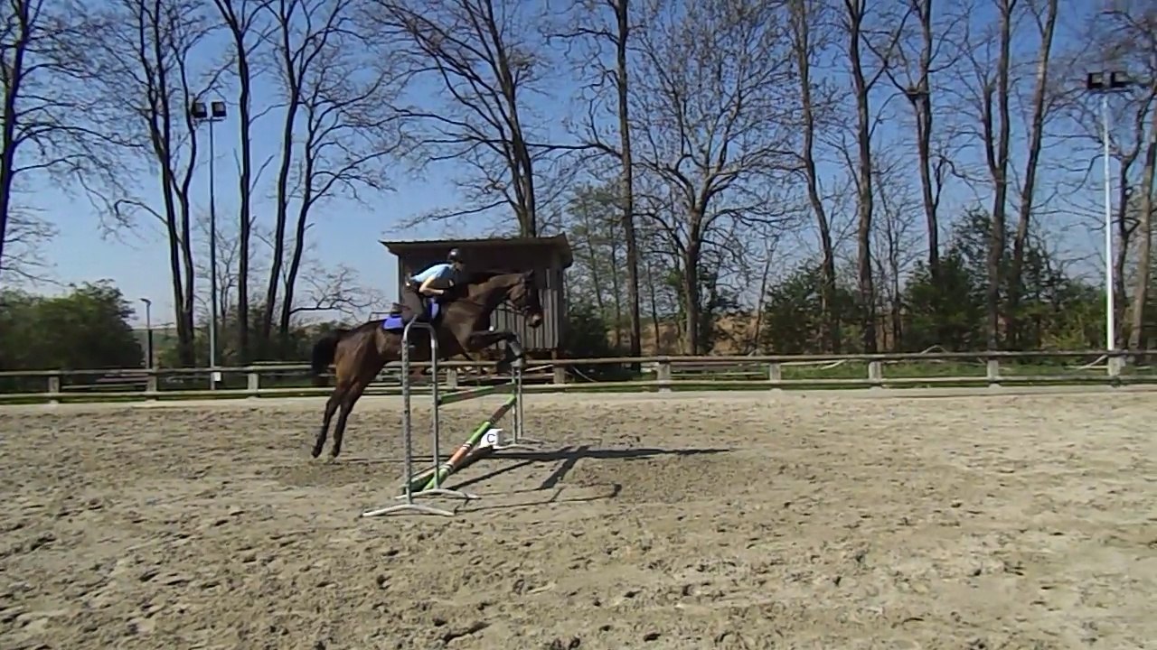 Kari - Obstacle - 9 avril 2017 - 1