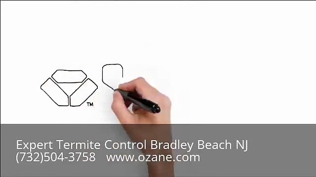 Expert Termite Inspection Bradley Beach NJ (732)504-3758