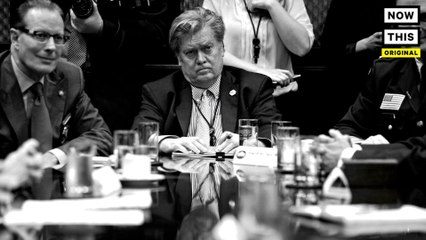 Steve Bannon, Explained Pt 2