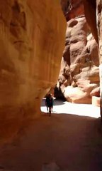 Petra Gezi Rehberi - ÜRDÜN