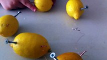 limon pili nasıl yapılır
