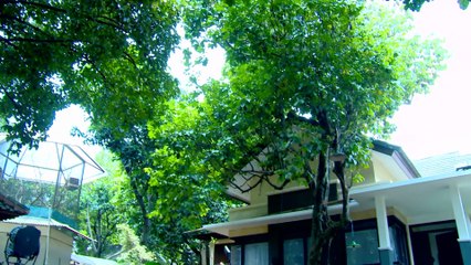 ROMAN PICISAN - Darren dan Kawan Kawan Ngikutin Roman [07 Mar 2017]