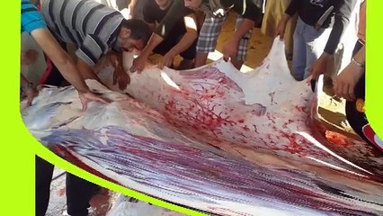 الاسير المحرر عاطف عزات شعت - عيد الاضحى - يامروح ع العيد