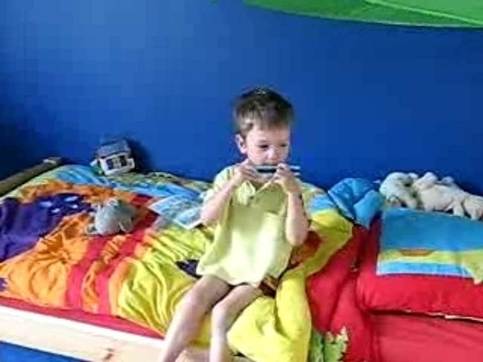 Harmonica fever