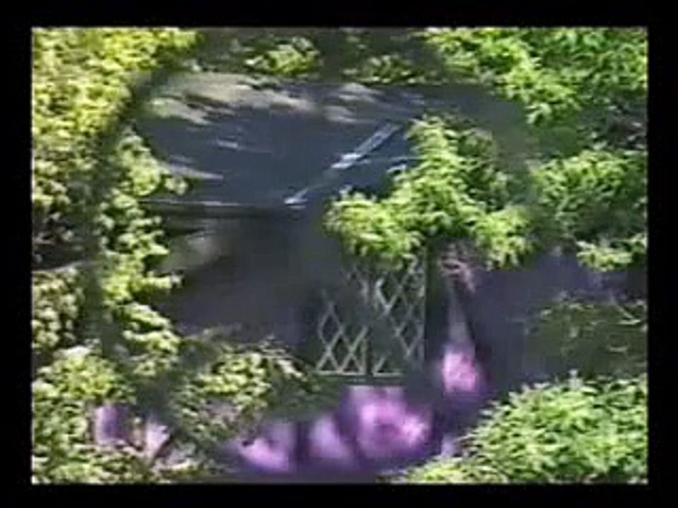 LS Tour Documentary