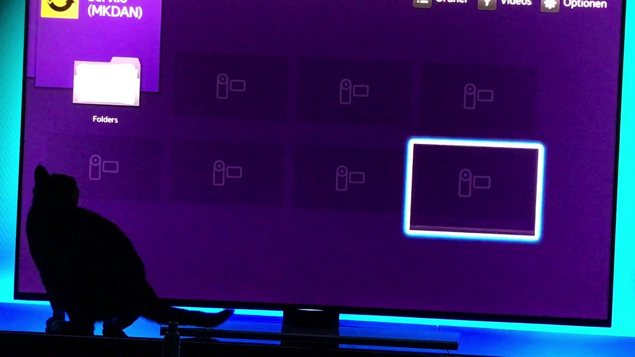 Cat playing Smash TV