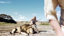 Un lion prend sa vengeance sur un chasseur (FAKE)