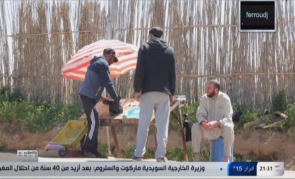 برنامج الشروق تحقق 10 افريل 2017 نهب الرمال