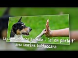 la communication animale - si on parlait - avec laurene baldassara