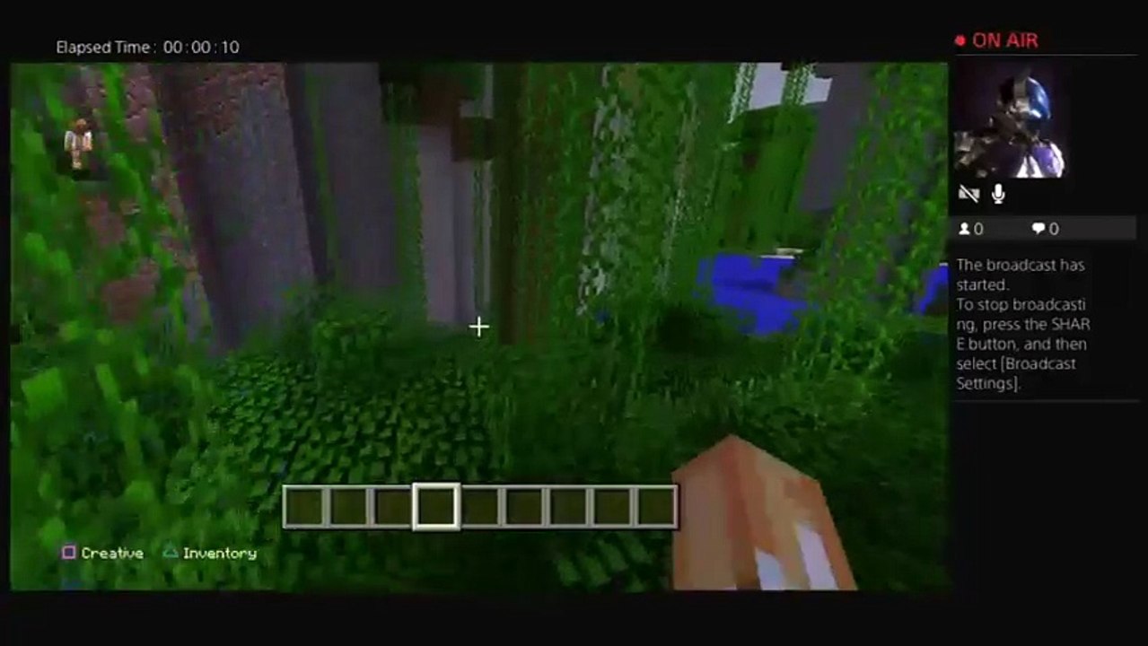 Minecraft 1x1 (4)
