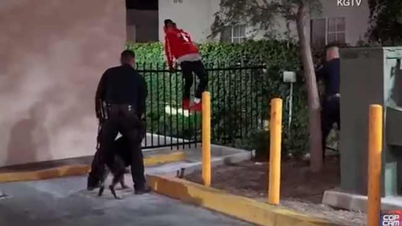 Bystander: Man Gets His Jeans Stuck On Fence As He Surrenders To Police