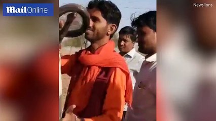 Momenti kur kobra kafshon turistin në faqe