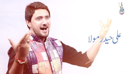 Farhan Ali Waris | Ali Ali Haider Maula | New Maqabat 2017