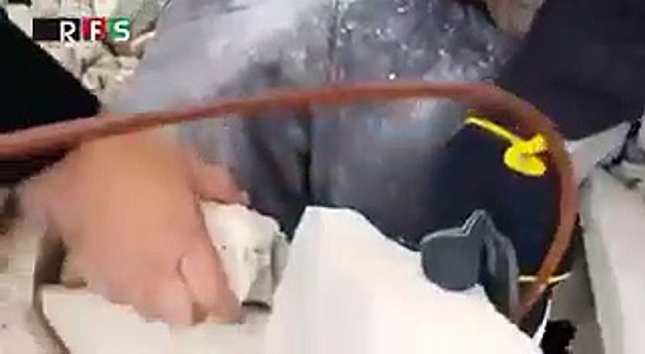 #WhiteHelmets