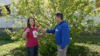 Stumme Schreie Hilferufe eines Kindes